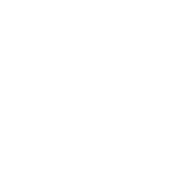 mago logo